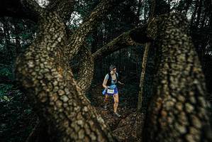 BIB: 
                            <button type="button" onclick="openModal(25692788)" class="btn btn-primary btn-sm float-right btn-popup" data-toggle="modal" data-target=".modal-high-quality">
                        <i class="fas fa-shopping-cart"></i> Add to Cart
                    </button>
                                            <button type="button" onclick="isThisMe(25692788, true)" class="btn btn-success btn-sm float-right btn-popup btn-isme hidden" data-toggle="tooltip" data-placement="bottom" title="นี่คือรูปของคุณใช่ไหม คลิกที่นี่เพื่อเอาเข้าอัลบั้ม">
                        <i class="fas fa-plus"></i> Add to album
                    </button>
                    <button type="button" onclick="isThisMe(25692788, false)" class="btn btn-warning btn-sm float-right btn-popup btn-isnotme hidden">
                        <i class="fas fa-ban"></i> Remove from album
                    </button>